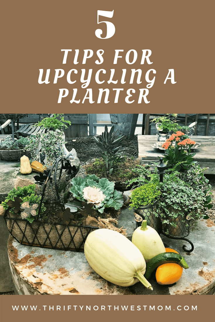 Upcycling a Planter using Thrift Store Finds 