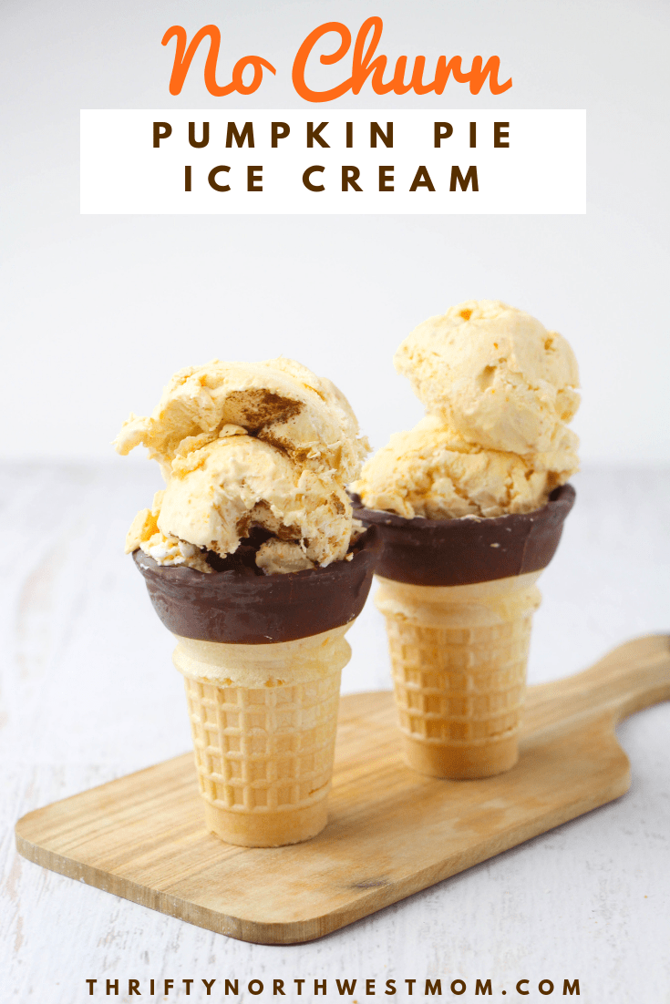 No Churn Pumpkin Pie Ice Cream Recipe