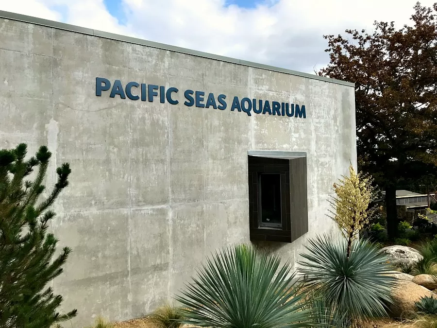Pacific Seas Aquarium at Point Defiance Zoo