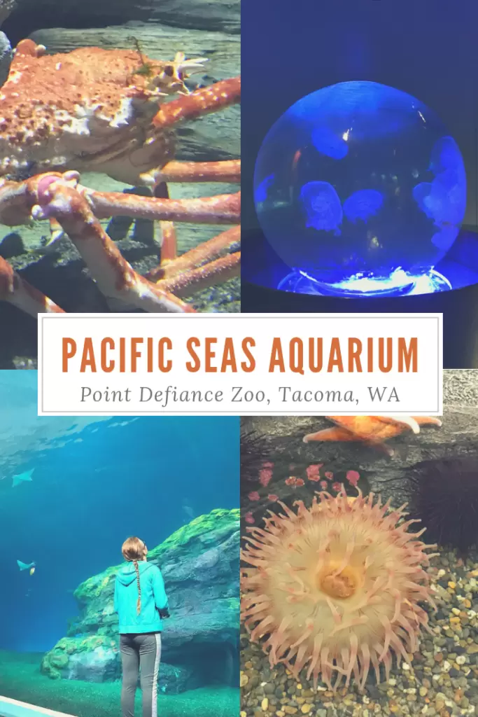 Pacific Seas Aquarium – Point Defiance Zoo in Tacoma WA  – Kid Friendly & Ways to Save!