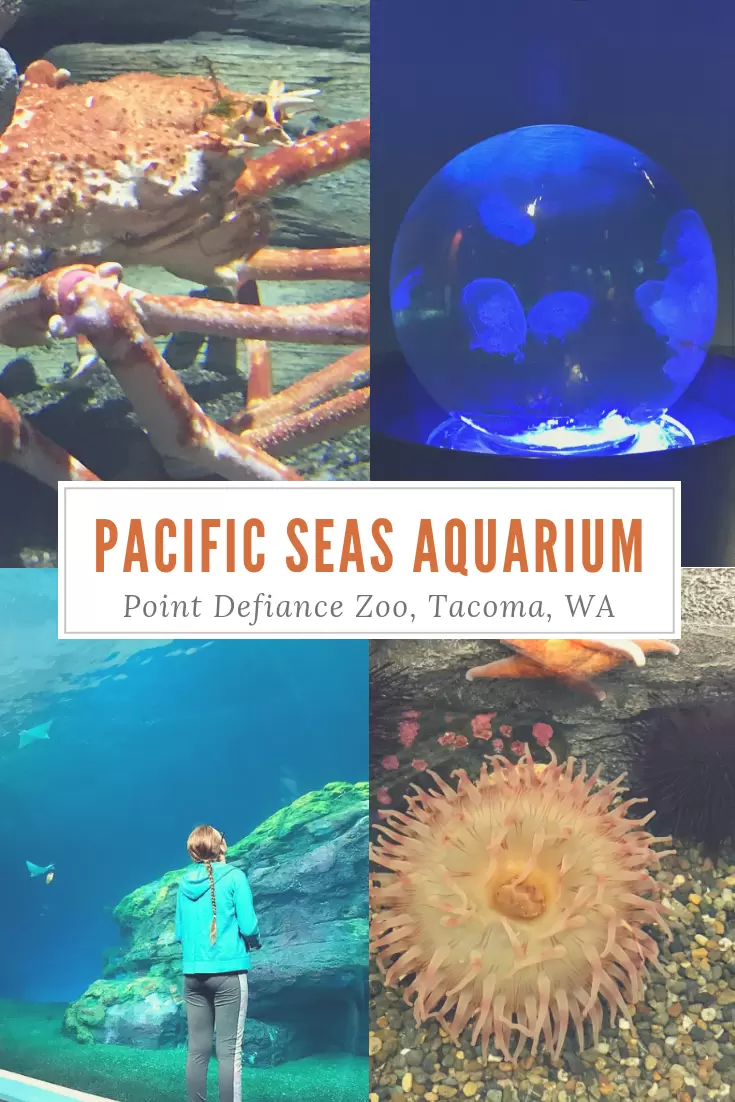 Pacific Seas Aquarium at the Point Defiance Zoo