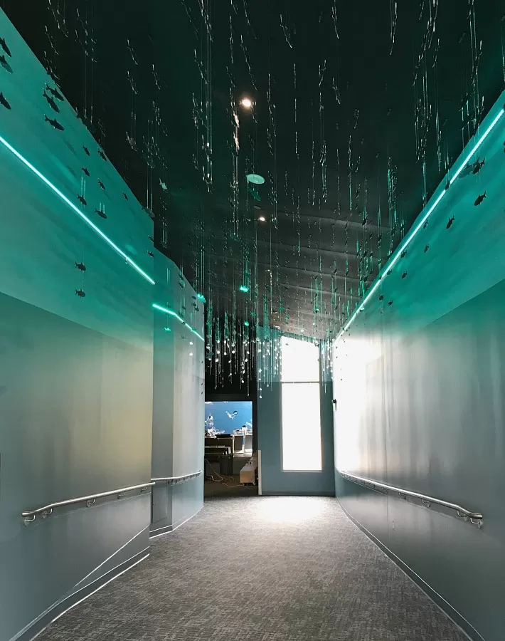 Schools of Fish in Hallway for Pacific Seas Aquarium