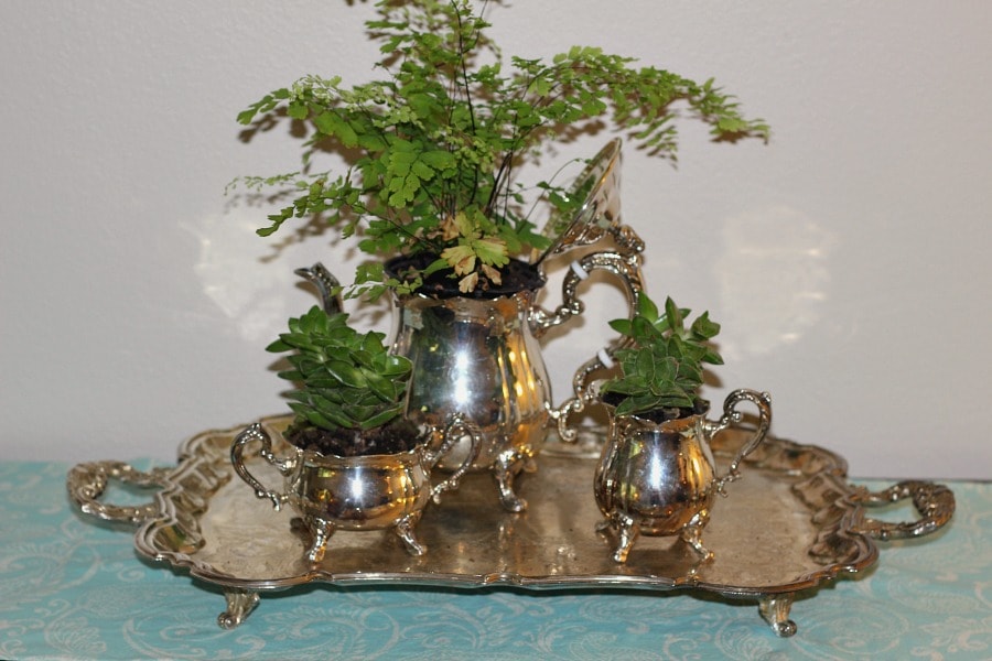 Tea Set Planter