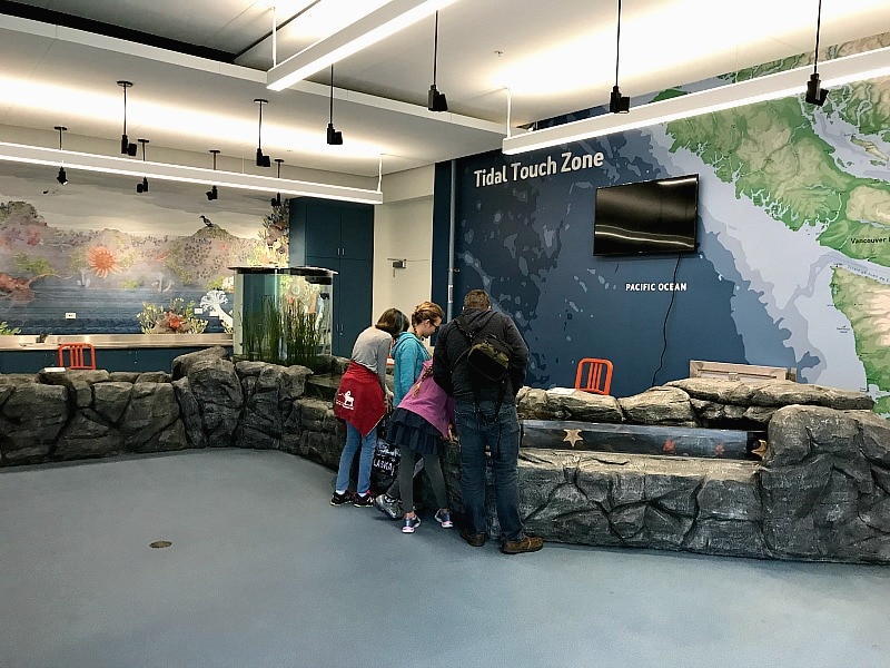 Tidal Touch Zone at Pacific Seas Aquarium
