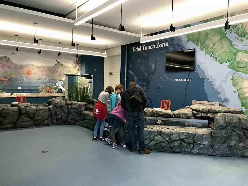 Tidal Touch Zone at Pacific Seas Aquarium