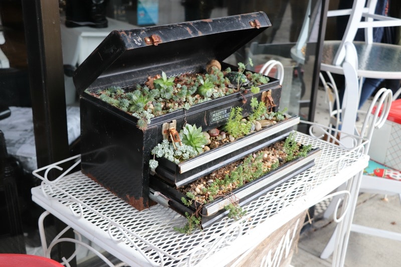 Toolbox planter