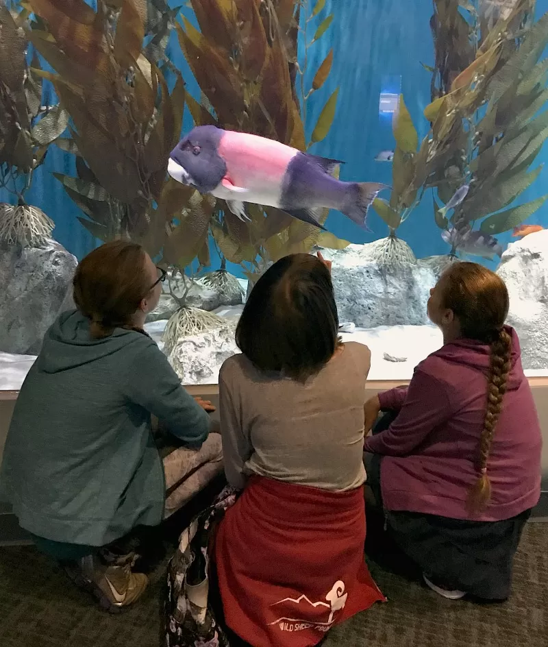 Northwest Waters Tank with Buddy the Fish