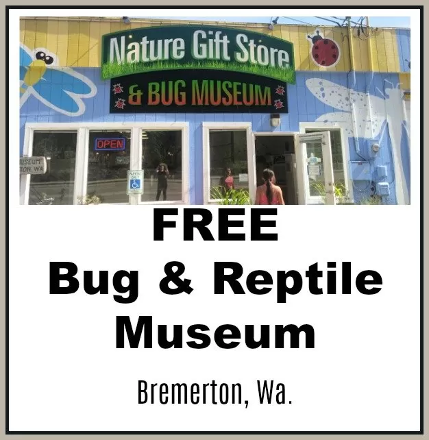 Bug & Reptile Museum in Bremerton (Free To Visit)!