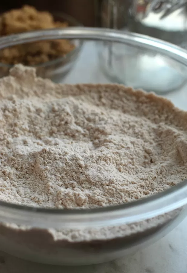 Making Gingerbread Cookies in a Jar