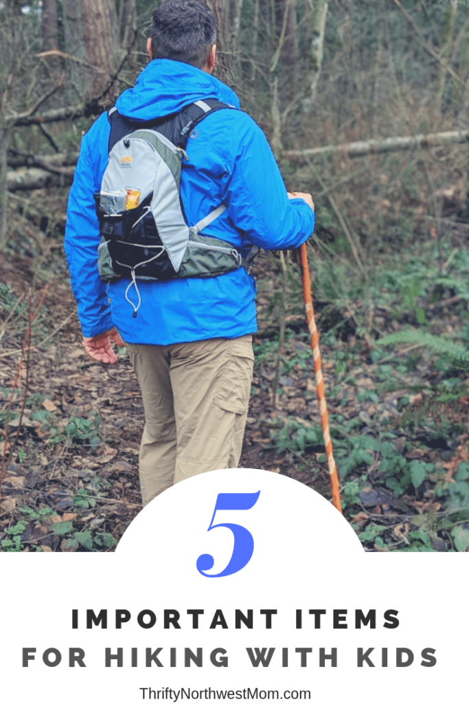 5 Important Items for Hiking with Kids