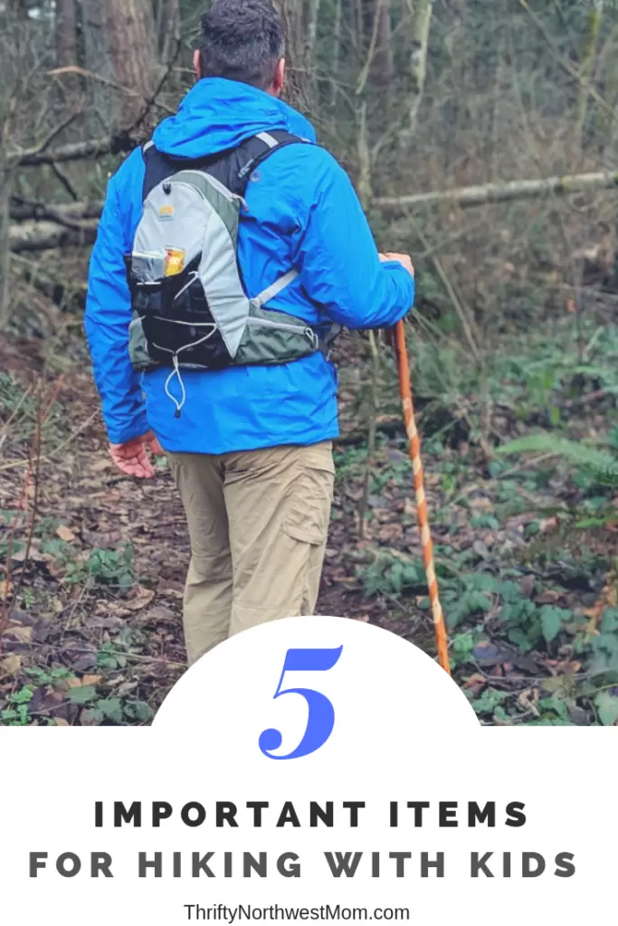 5 Important Items for Hiking with Kids