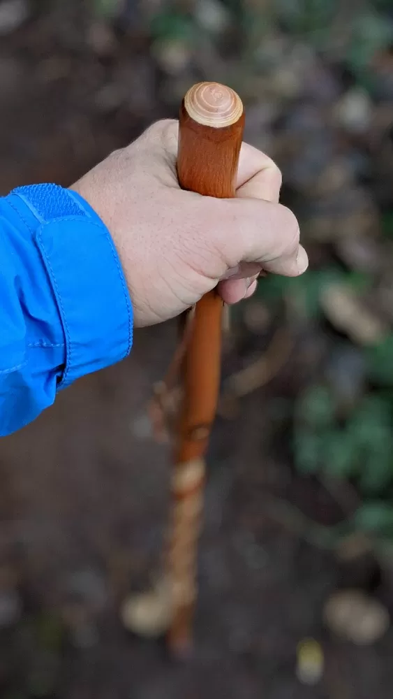 Wood Walking Stick by Brazos