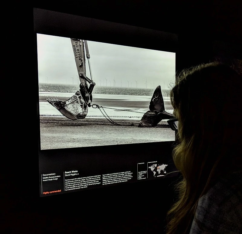 Documentary of Whale at Wildlife Photographer of the year exhibit