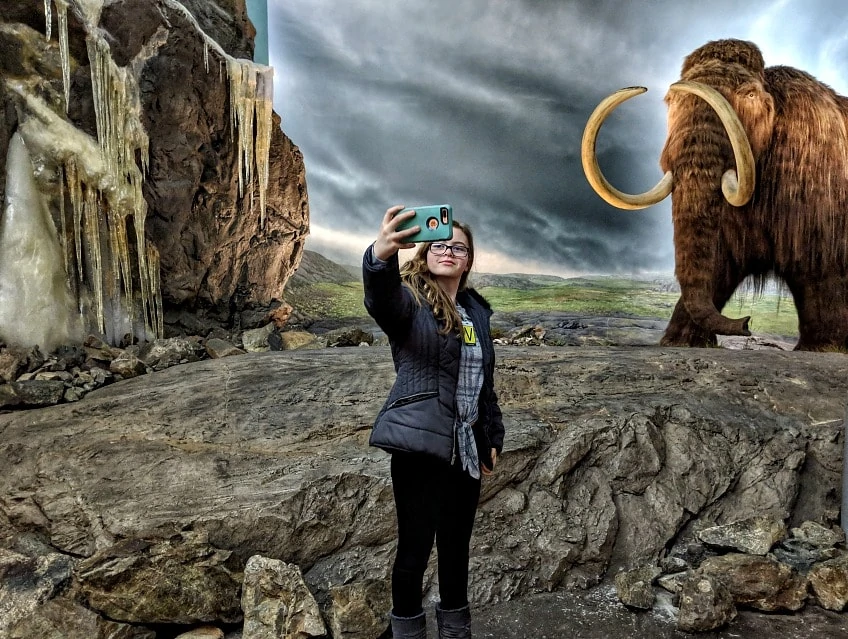 Wooly Mammoth at Royal BC museum