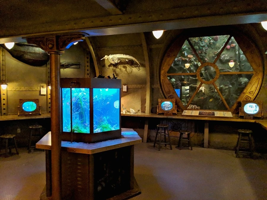 Underwater Room at Royal BC Museum