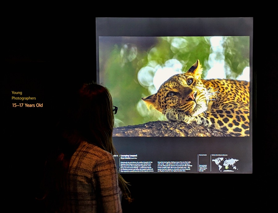 Young Wildlife Photographer of the Year Winning Image