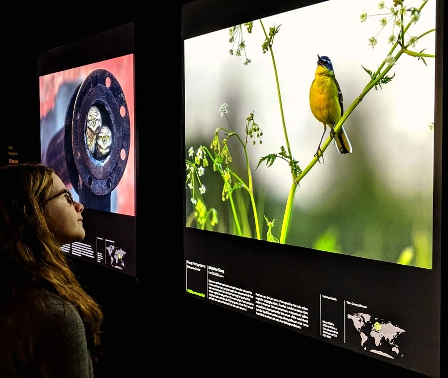 Young Wildlife Photographers of the Year exhibit area