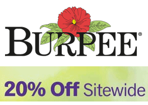Burpee Coupon