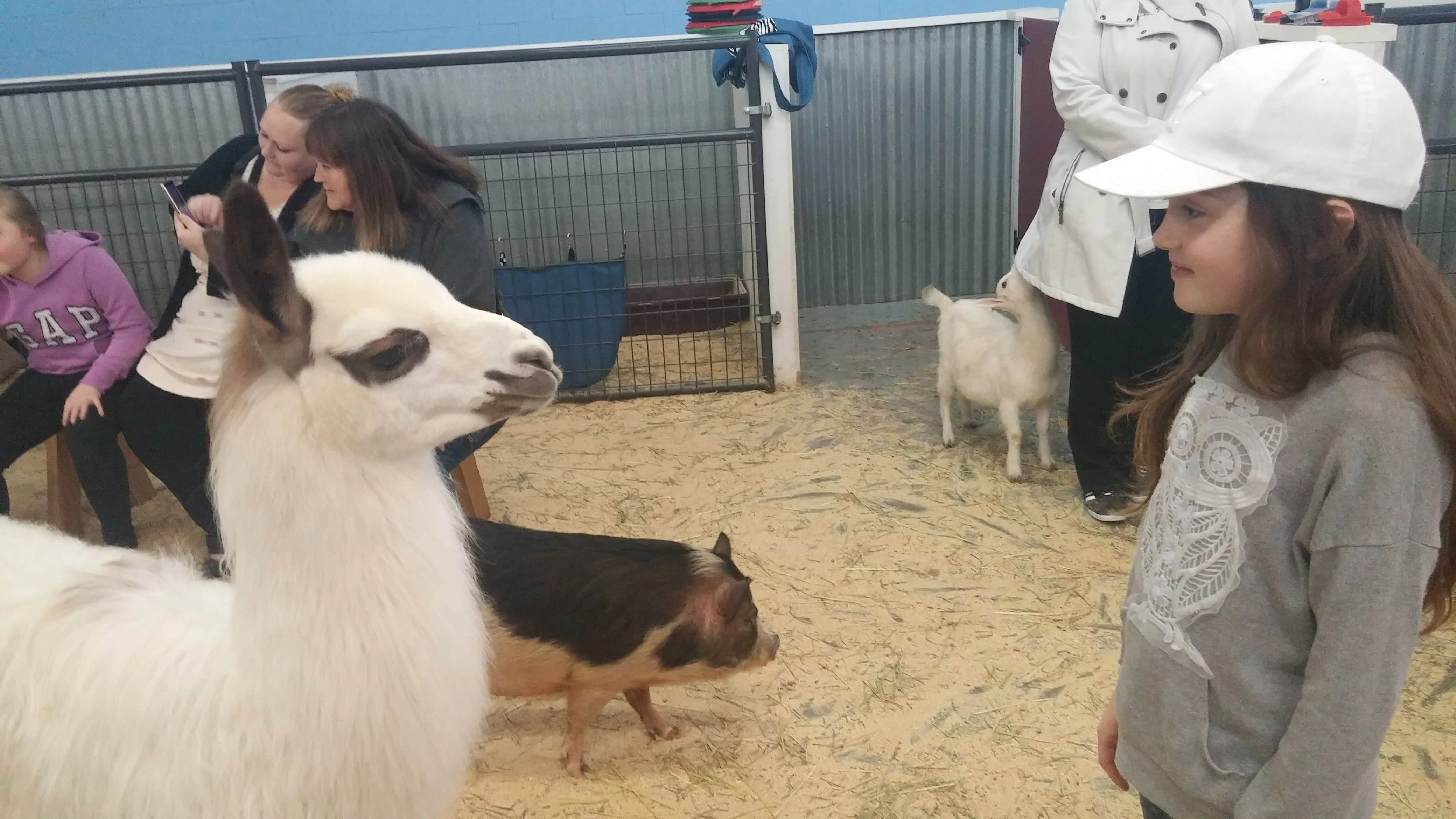 Petting zoos in washington