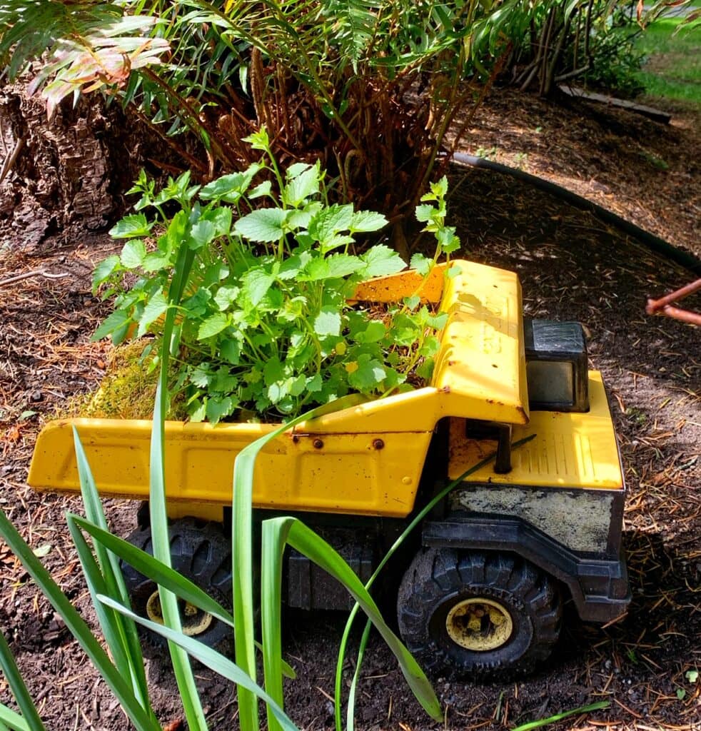 Using Tonka Trucks as garden art