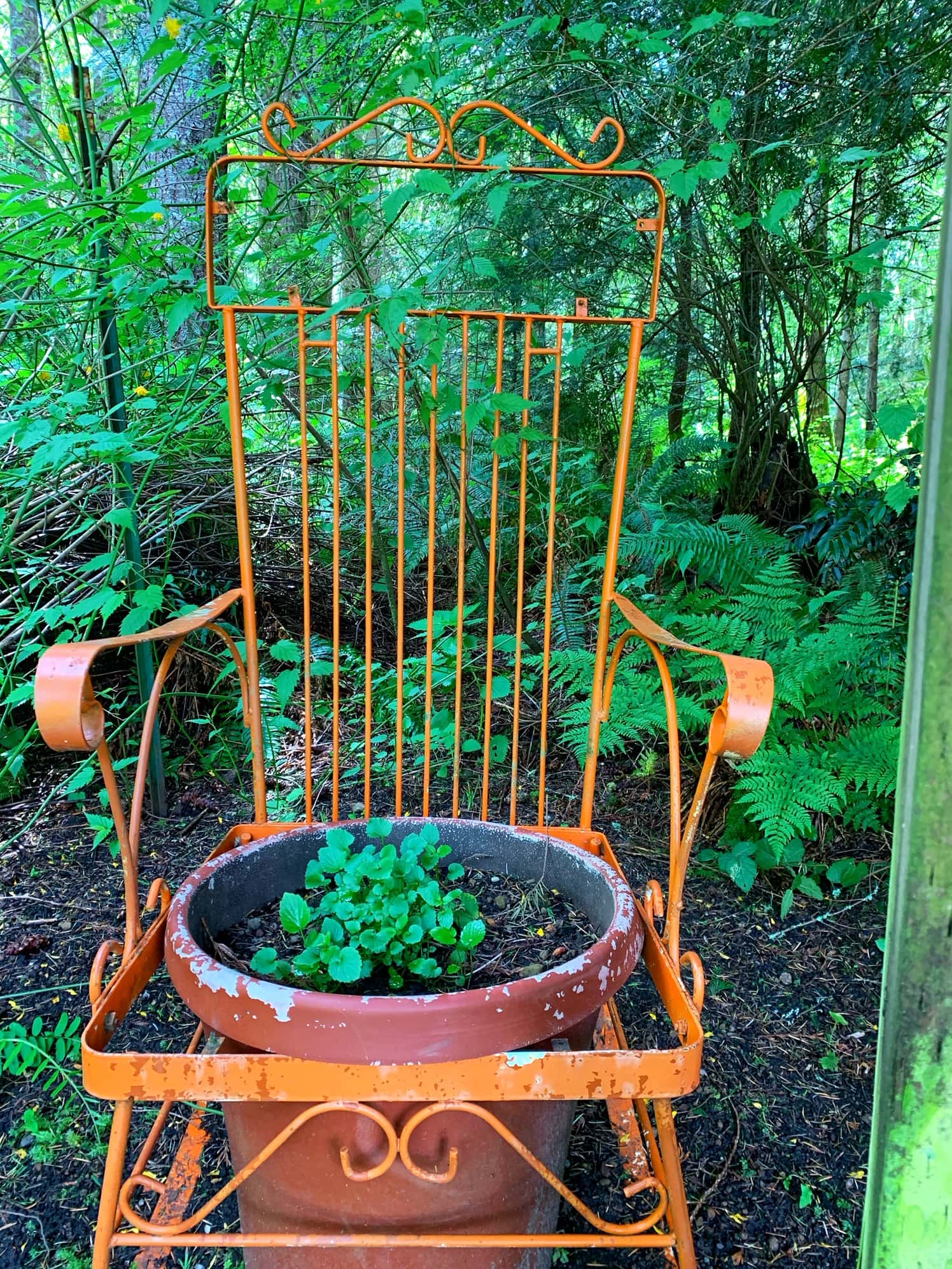 11 Unique Garden Art Ideas That Are Budget Friendly! Thrifty NW Mom