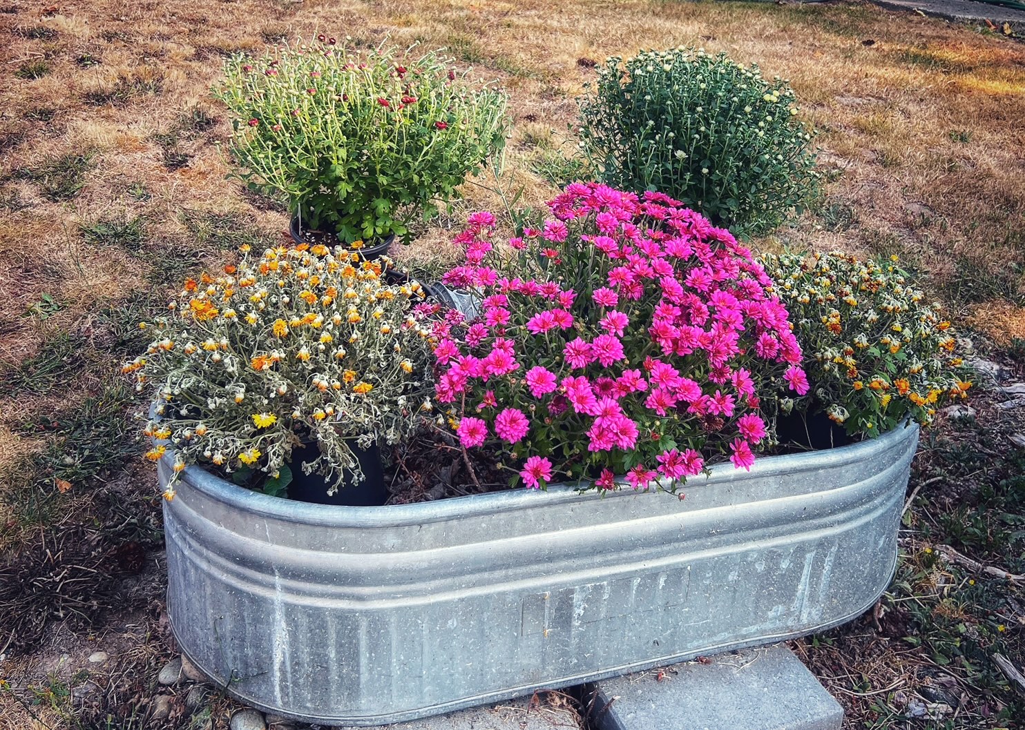 89+ Salvaged garden art projects - easy projects to enhance your garden!