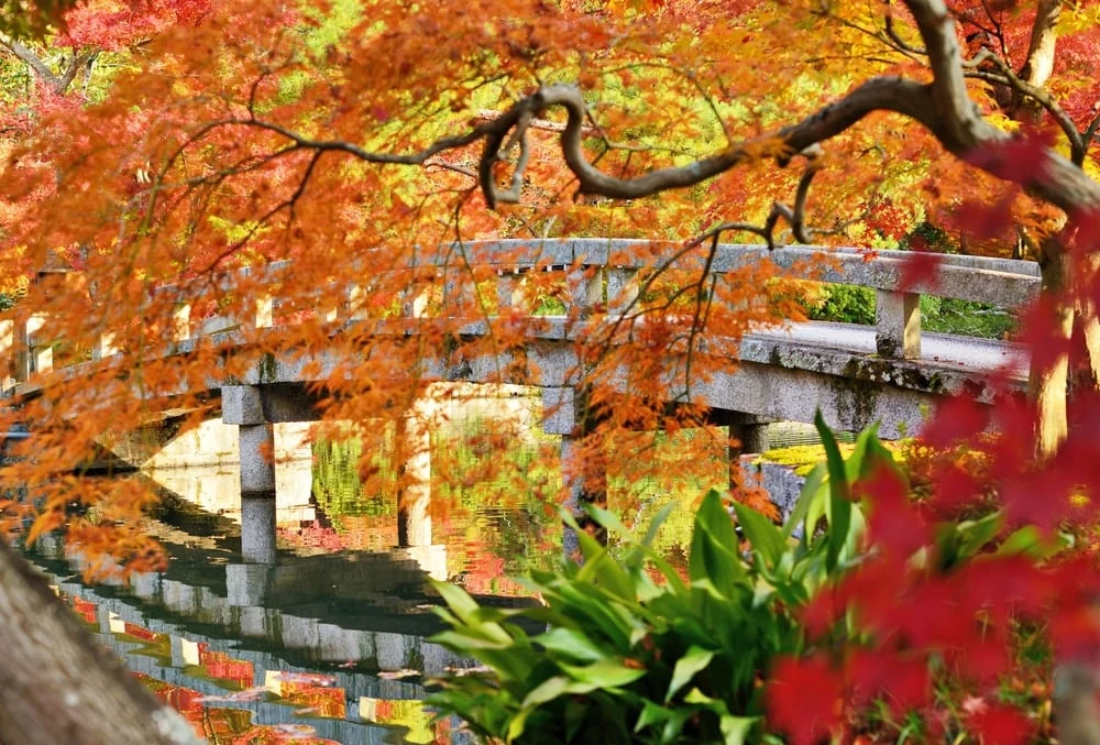 Kubota Japanese Garden Seattle