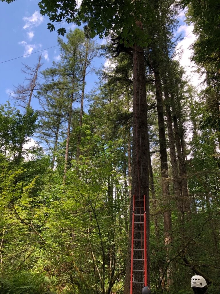 zipline at black diamond camps