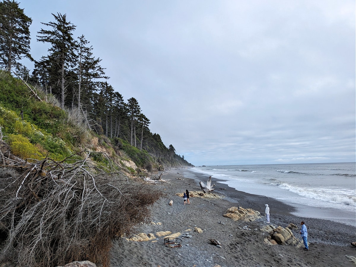 Beach 4 at Olympic National Park