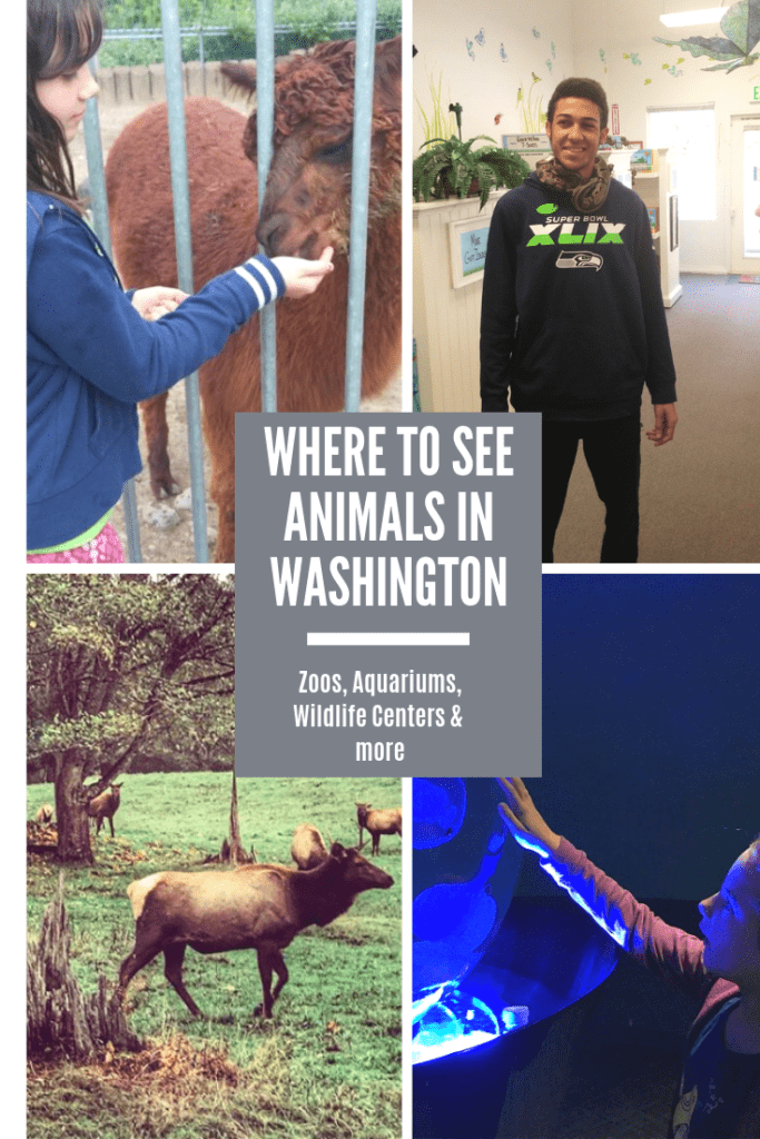 Where to See Animals in Washington