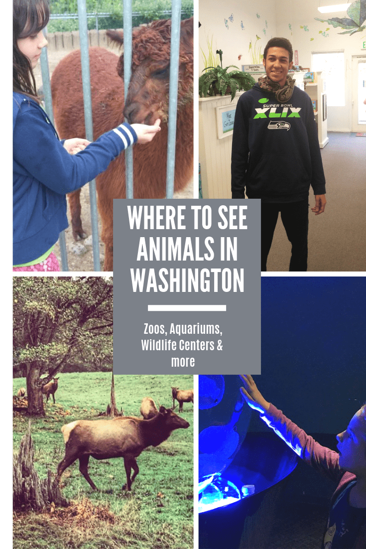 Where to See Animals in Washington