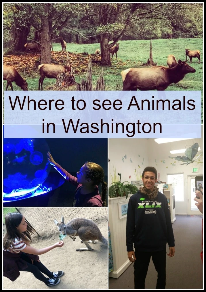 Find out where to see animals in western Washington