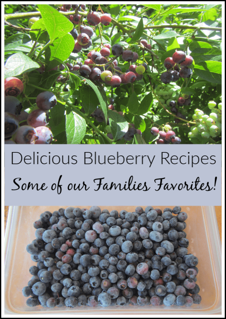 Delicious Blueberry Recipes – A Few of Our Families Favorites!