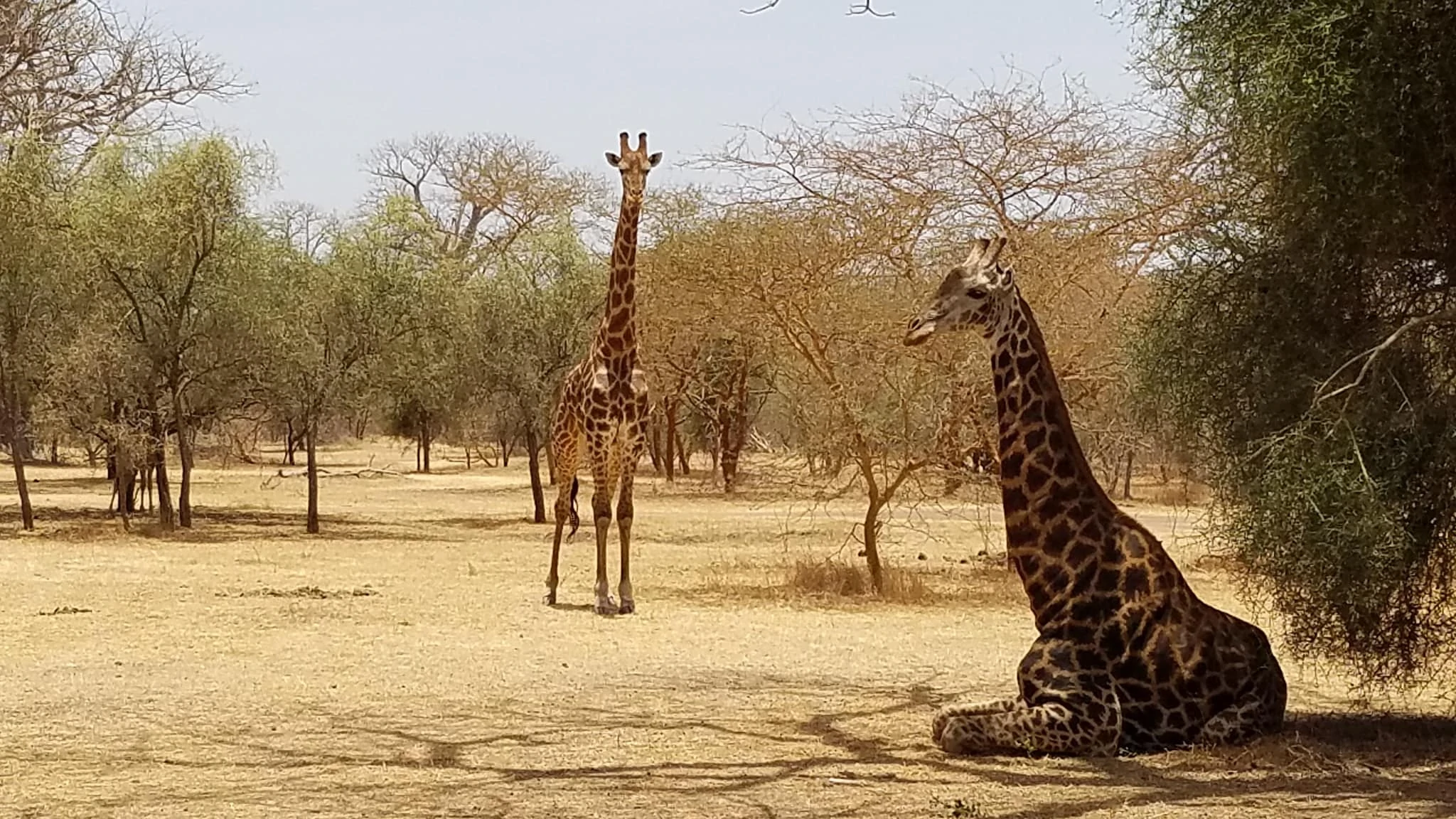 Senegal Nature Preserve