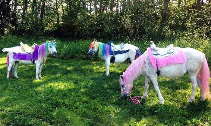 unicorn birthday party