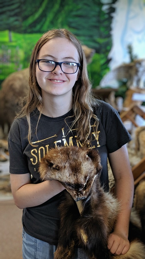 Pelts at Summit Nature Center Whitefish Mountain