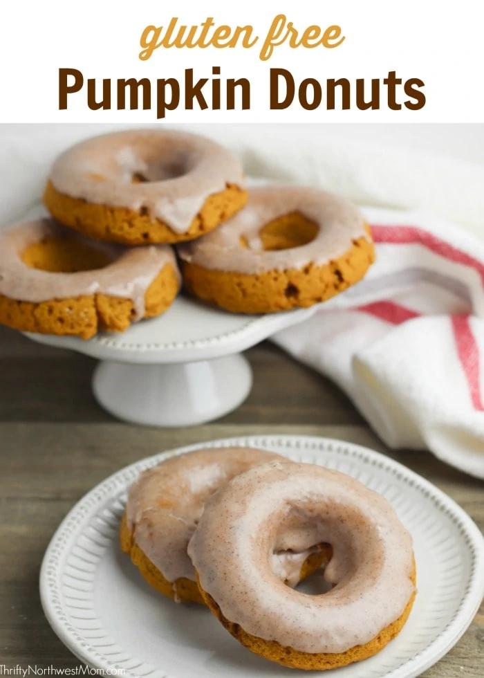 Gluten Free Pumpkin Donuts