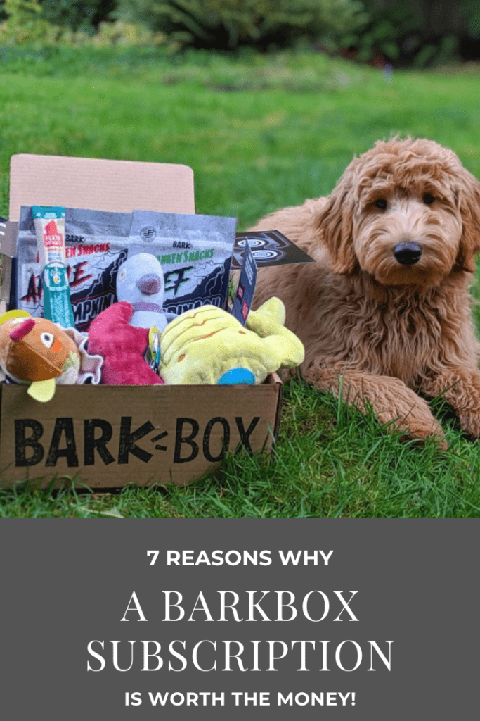 BarkBox Reviews – Why a BarkBox Subscription Box is Worth the Money!