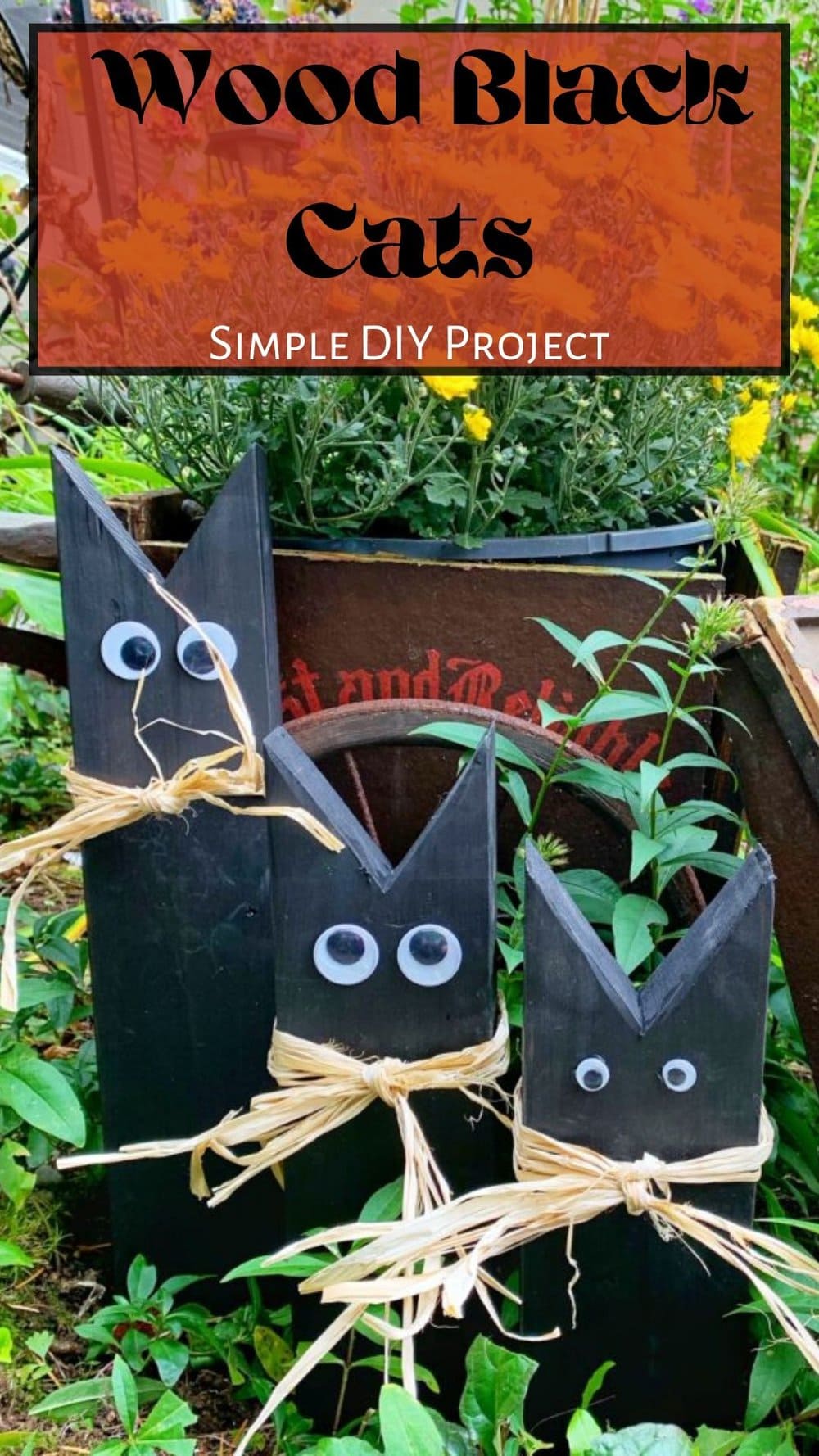 black wood cat