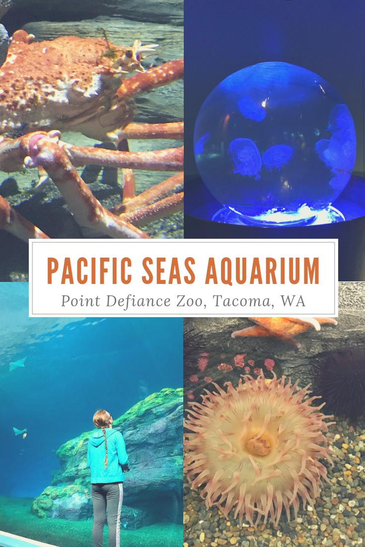 Pacific Seas Aquarium