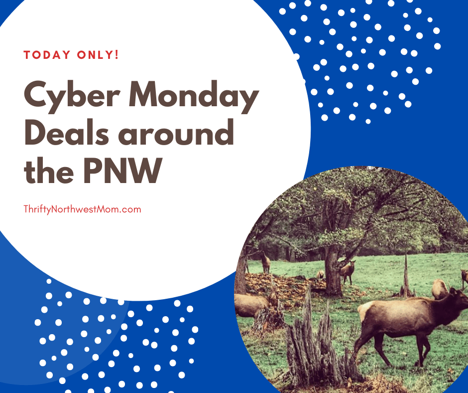 Northwest Black Friday / Cyber Monday Deals – Point Defiance, Northwest Trek, Seabrook & more!