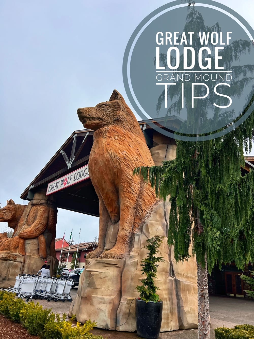 Great Wolf Lodge Washington Tips
