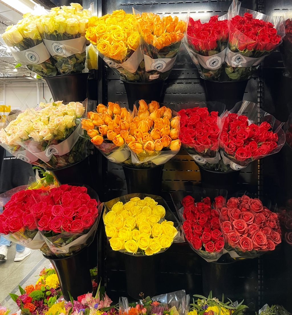 Costco Roses