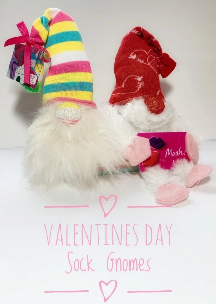 Valentines day gnomes