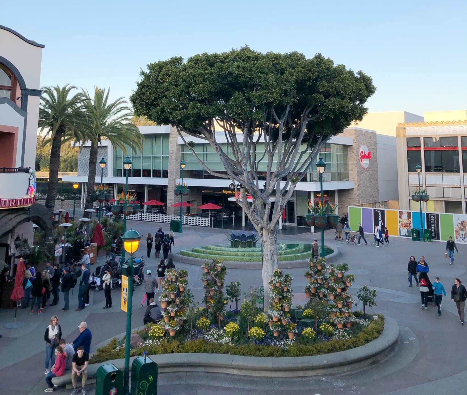 Best Value Restaurants Near Disneyland - Thrifty NW Mom