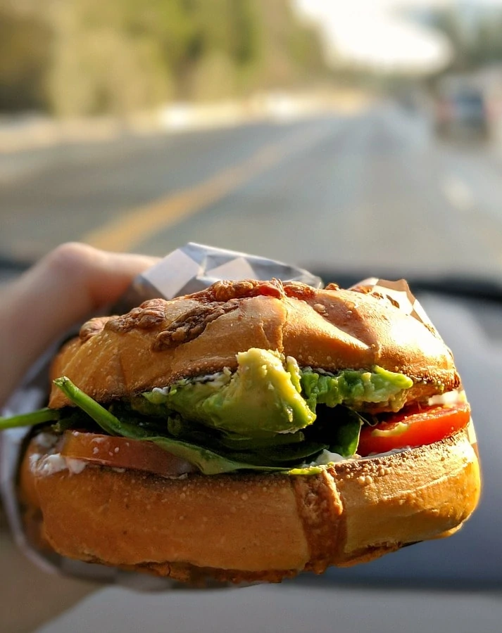 Avocado Bagel Sandwich at Mt Hood