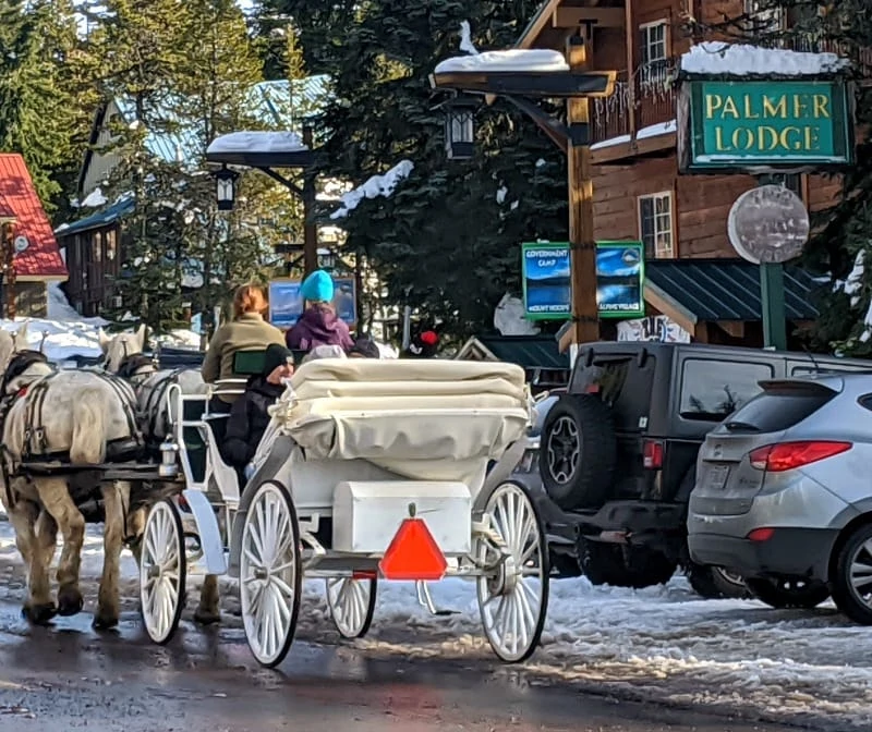 Mt Hood Carriage Rides