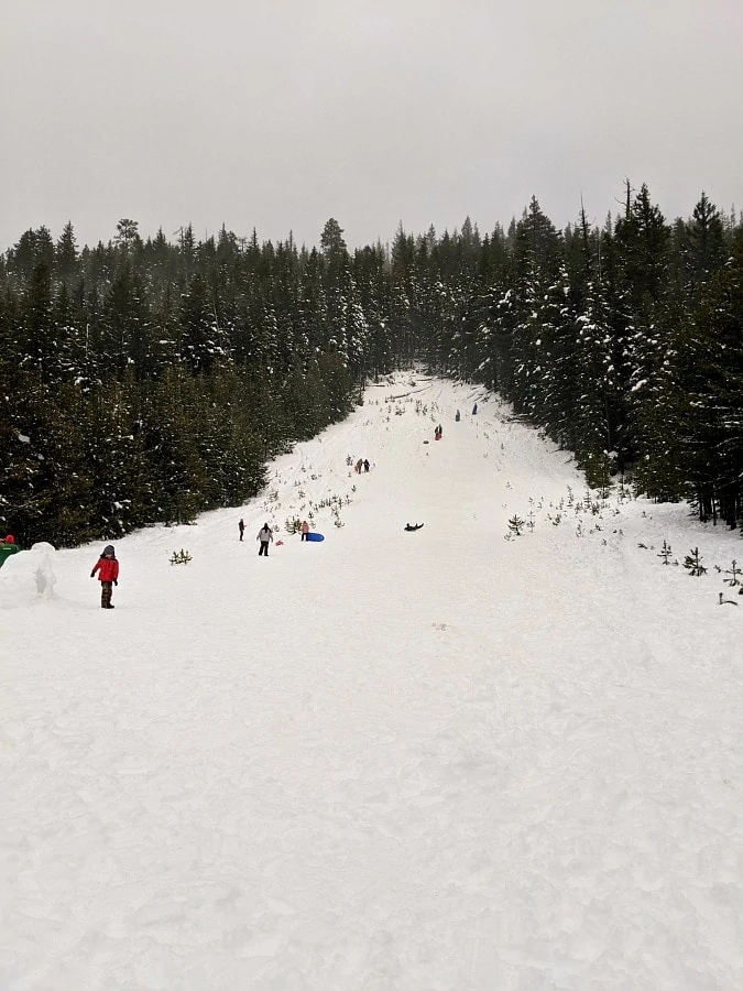 Mt Hood Sledding at Little John Sno Park