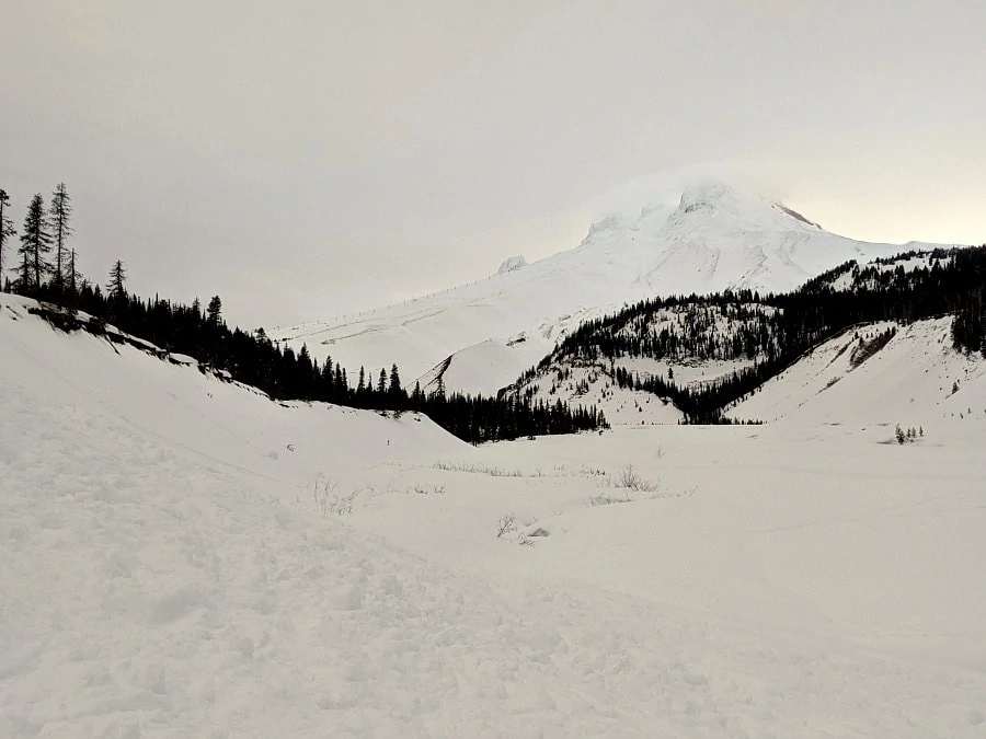 Mt Hood White River Sno Park Snowshoeing