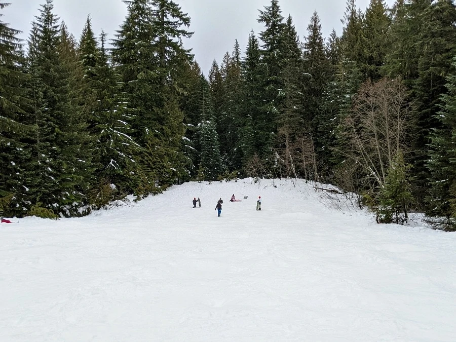 Snow Bunny Sledding Area at Mt Hood